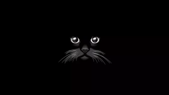 Black Background Cat Animal Artistic HD Wallpaper