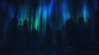 Aurora Fall 4k Wallpaper