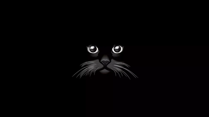 Black Background Cat Animal Artistic HD Wallpaper