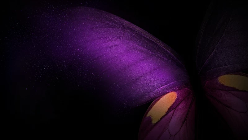 Purple Butterfly Galaxy Fold Stock