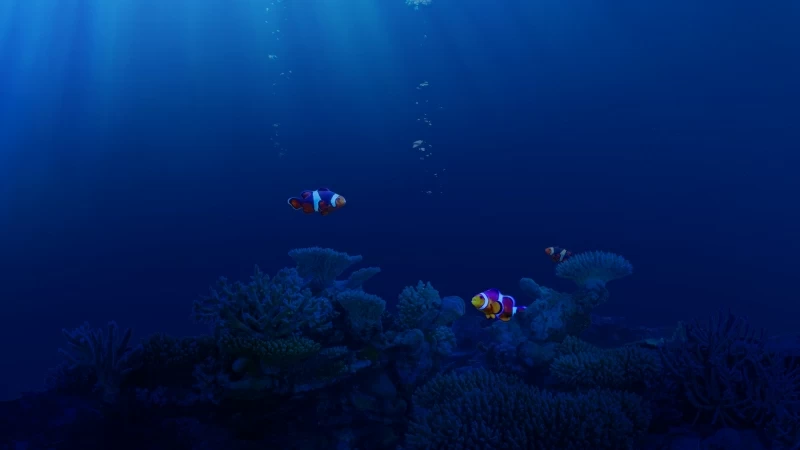 Life Underwater Wallpaper