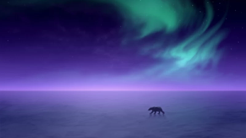 Northern Lights Winter Wallpaper