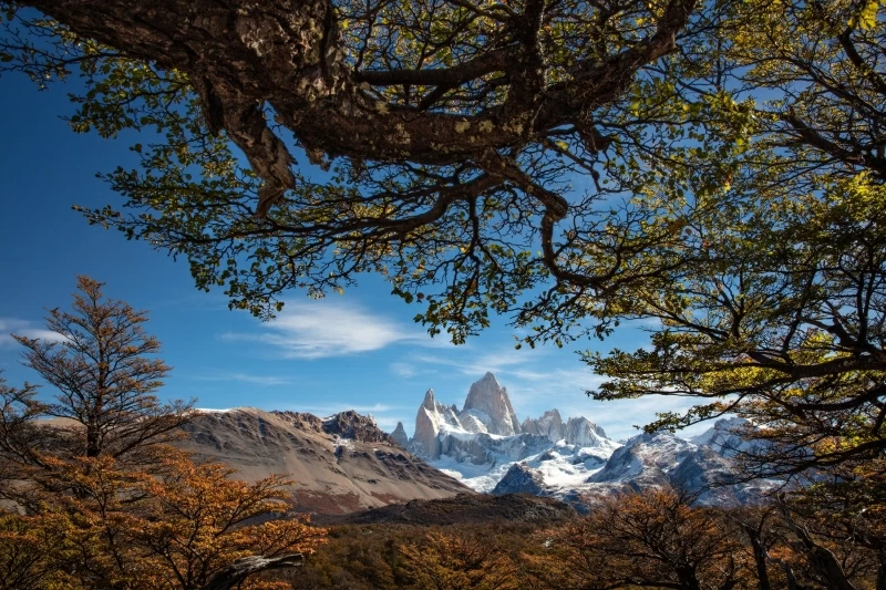 Monte Fitz Roy Wallpaper