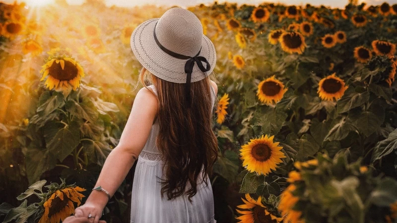 GIrl in Sunflower Park 4K 8K Wallpaper