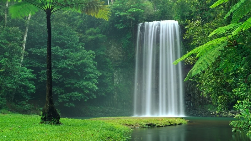 Millaa Millaa Falls in Australia 4K Wallpaper