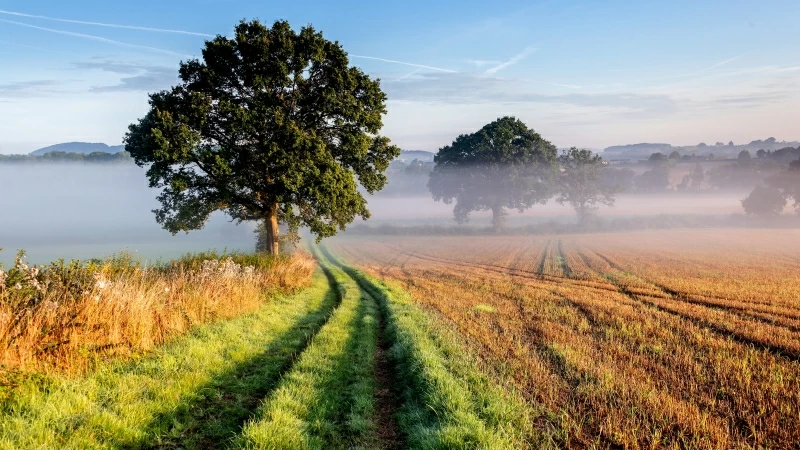 Foggy Landscape Wallpaper