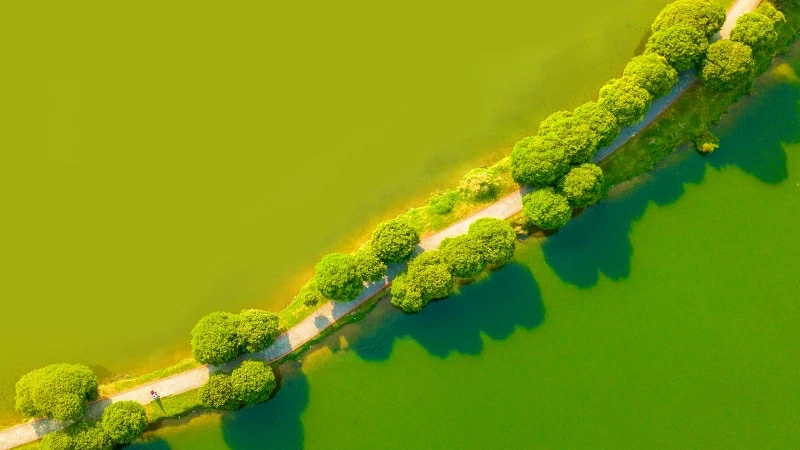 Green Landscape Aerial View Wallpaper