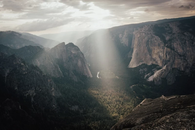 Yosemite Valley Green Grass Field 8k Wallpaper