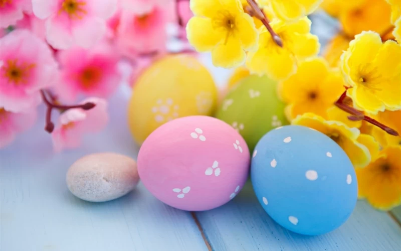 Easter Eggs and Spring Blossoms Wallpaper