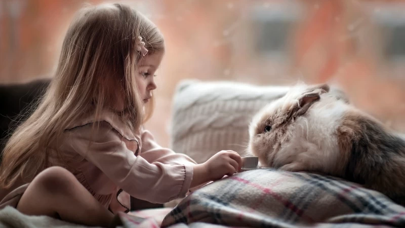 Cute girl Playing with Rabbit Wallpaper