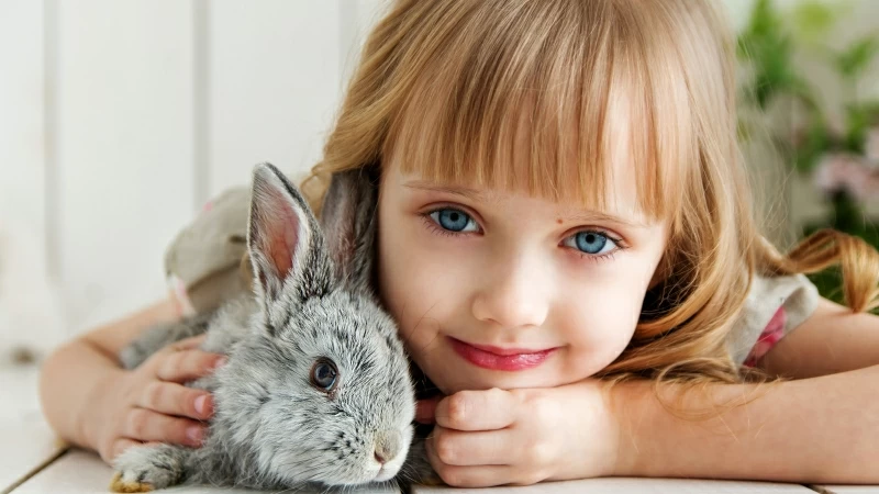 Cute girl witjh Rabbit Wallpaper