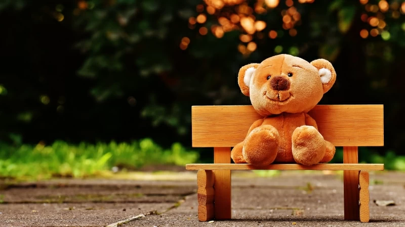 Cute Teddy bear at Park 5K Wallpaper