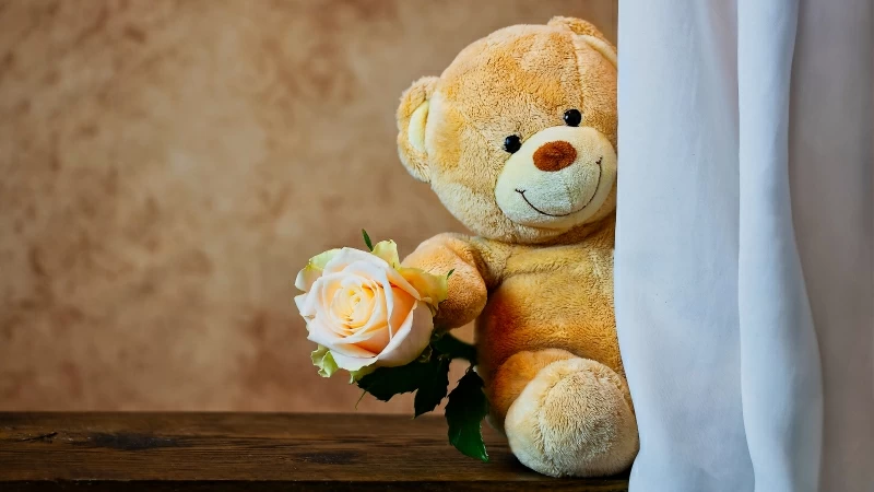 Cute Teddy Bear with Rose Wallpaper