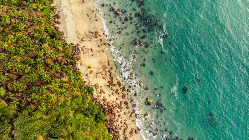 Beach Aerial View 4K Wallpaper