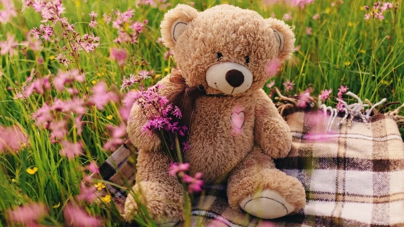 Cute Teddy Bear 5K Wallpaper