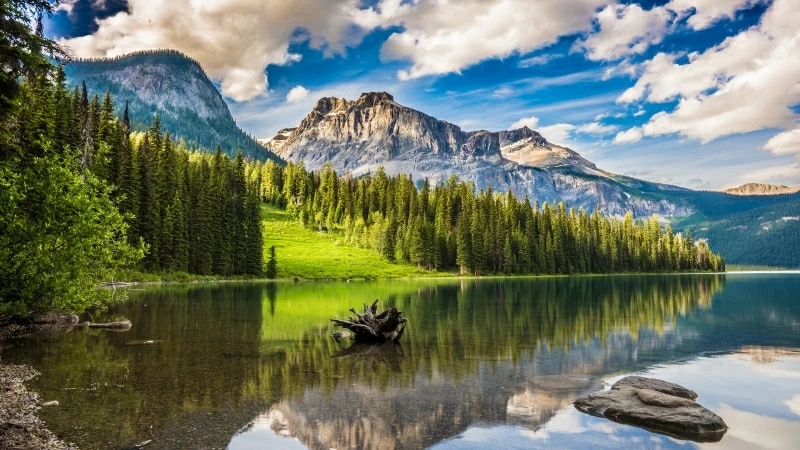 Emerald Lake in Banff National Park 5K Wallpaper