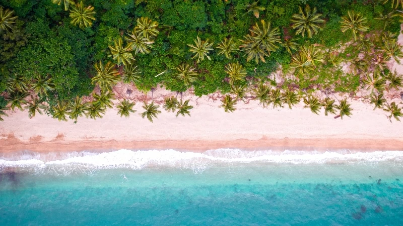 Tropical Beach Aerial View Wallpaper