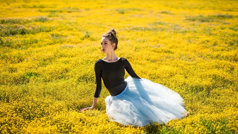 Girl Model Is Posing For a Photo Wearing Black White Dress Sitting In The Middle Of Yellow Flowers Field HD Girls Wallpaper