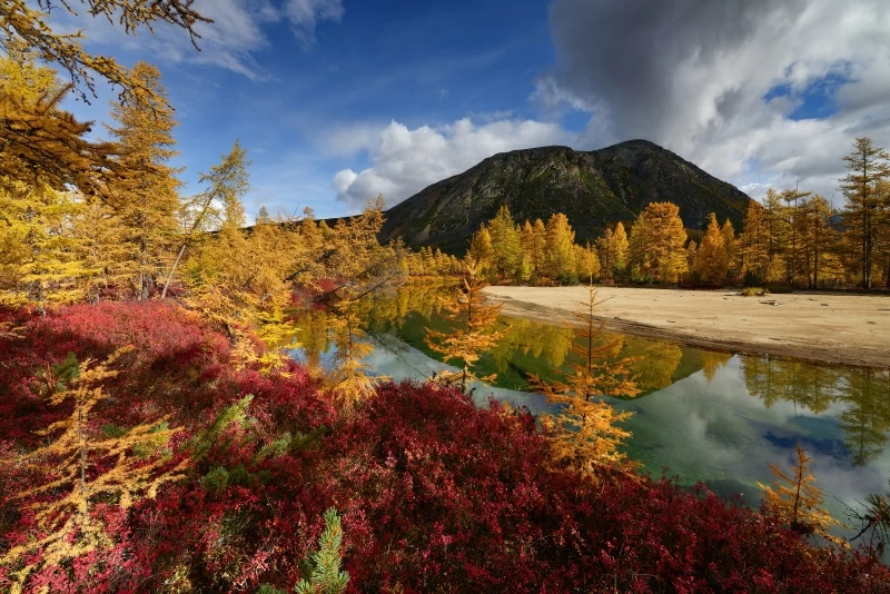 Autumn Mood Jack London Lake 4k Wallpaper