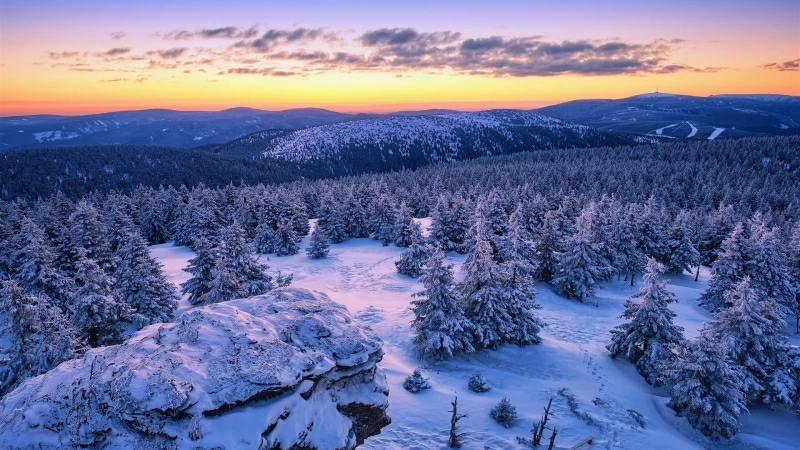 Forest Landscape Mountain Snow Sunset Winter HD Winter Wallpaper