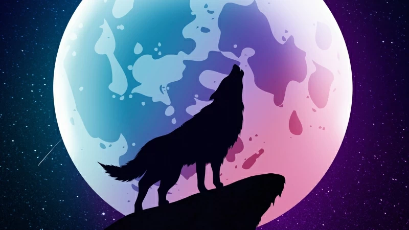 Wolf Howling Moon Night Minimal 5k Wallpaper