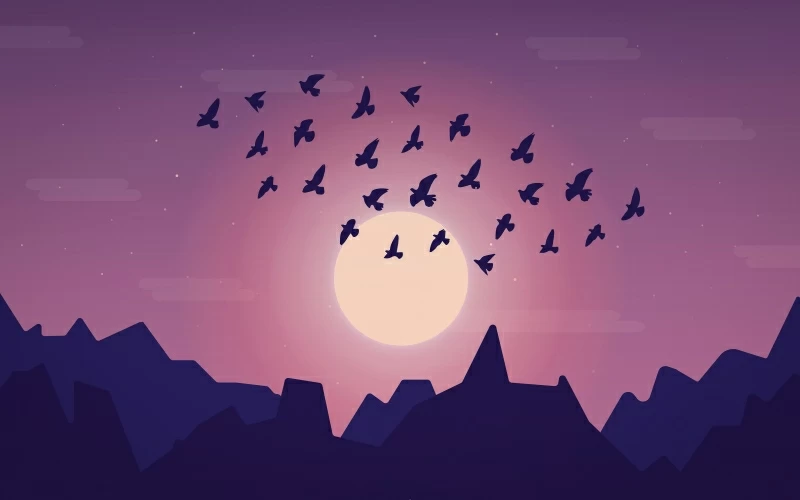 Birds Sky Minimal 5k Wallpaper