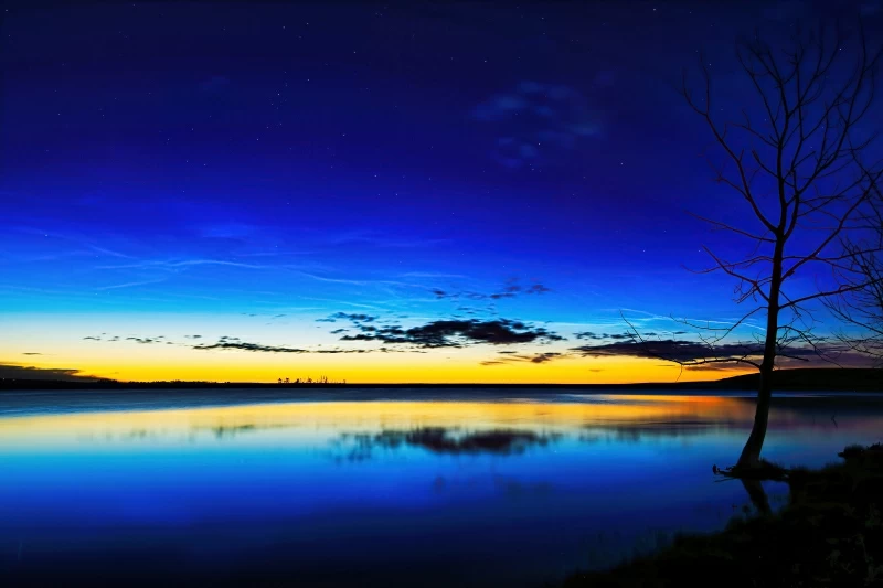 Tree On Shore Dark Evening 5k Wallpaper