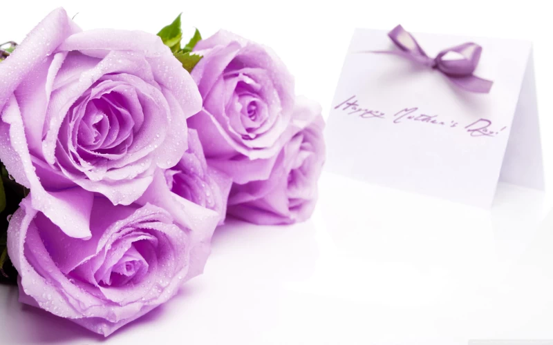 Holiday Happy Mother's Day with Purple Rose Wallpaper