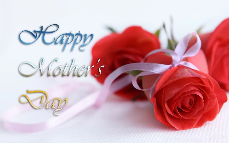 Holiday Mother's Day Red Rose Wallpaper