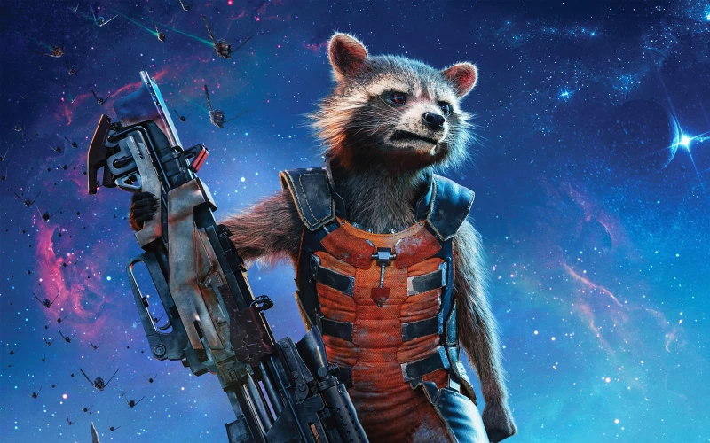 Raccoon Guardians Of The Galaxy Vol 2 Hd Wallpapers