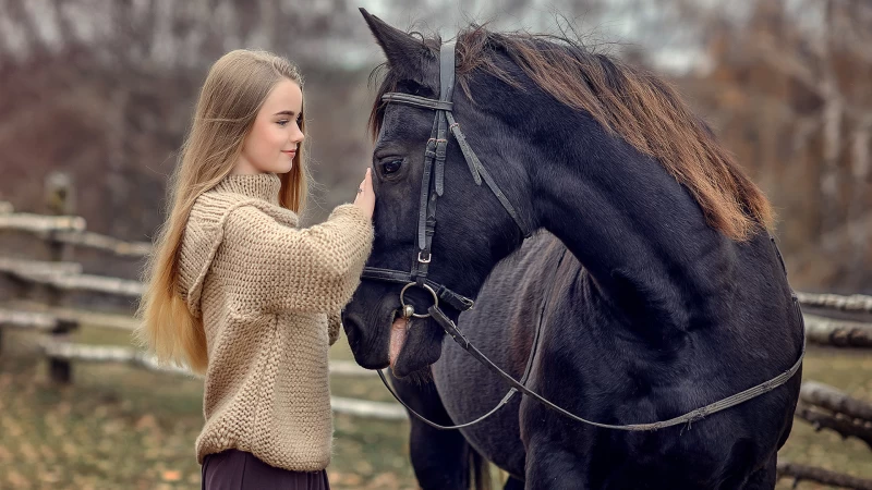 smiling girl model is standing near black horse wearing woolen knitted top in blur background hd girls