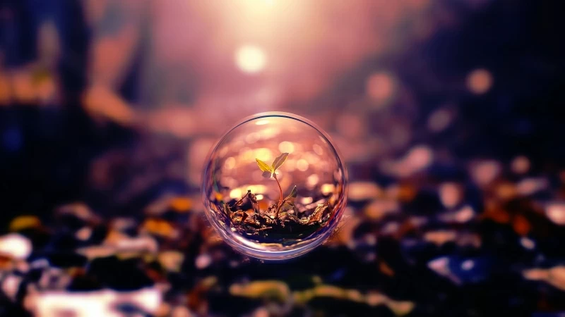 Plant Through Lens Ball Wallpaper