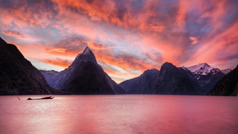 The Milky Pink Sea at Milford Sound New Zealand 4K 5K HD Wallpaper