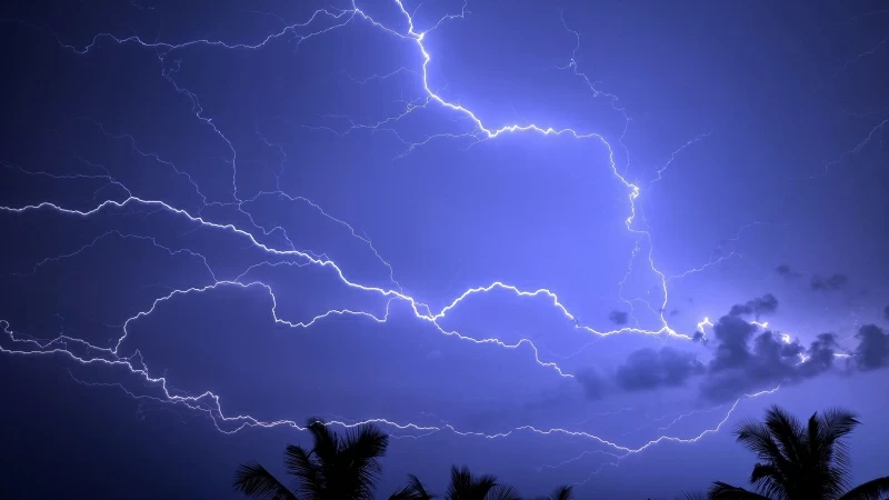 Lightning Storm Palm Sky 4K HD Wallpaper