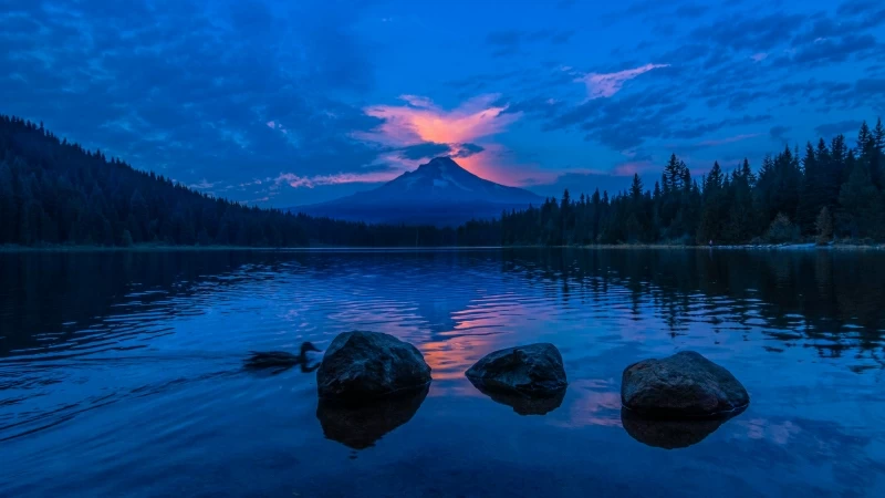 Silver Falls State Park Sunset Reflection In Lake 4K HD Wallpaper