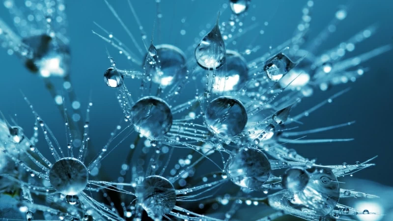 Clear Water Drops 4K HD Wallpaper