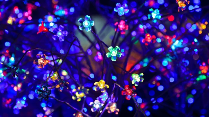 Bulbs Flowers Neon Light Lighting Glare Bokeh Colorful 4K HD Wallpaper