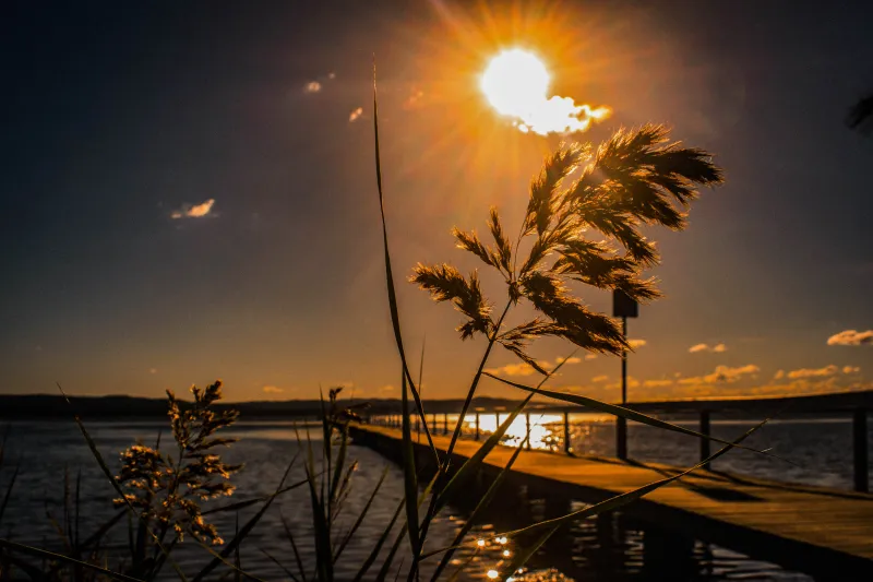 Australia Boardwalk Central Coast Central Coast Wallpaper