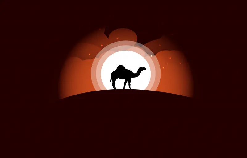 Camel Minimal Art 5k Wallpaper