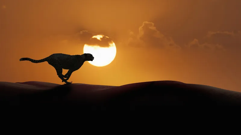 Cheetah Running 4k Wallpaper