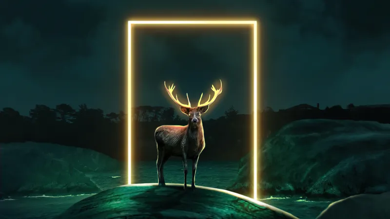 Deer Glow Door 5k Wallpaper