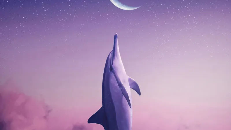 Dolphin Touching Moon 4k Wallpaper