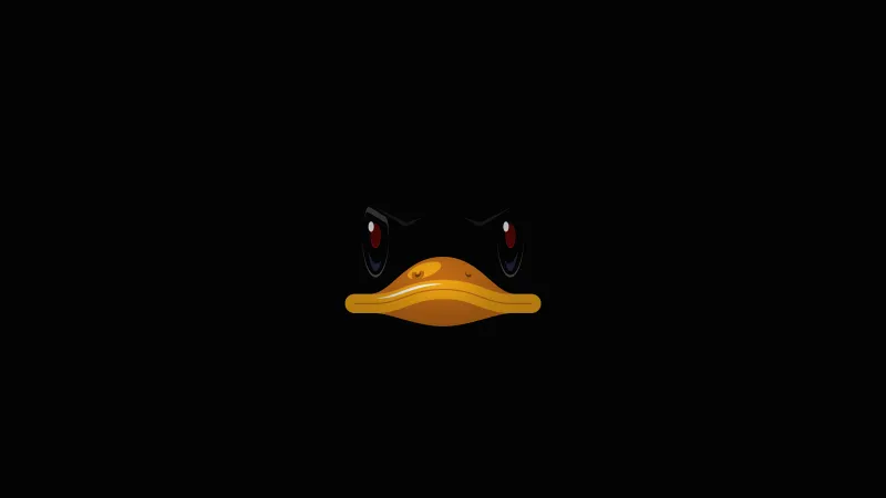 Duck Minimal 4k Wallpaper