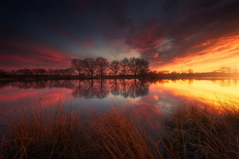 France Spring Lake Grass Wallpaper