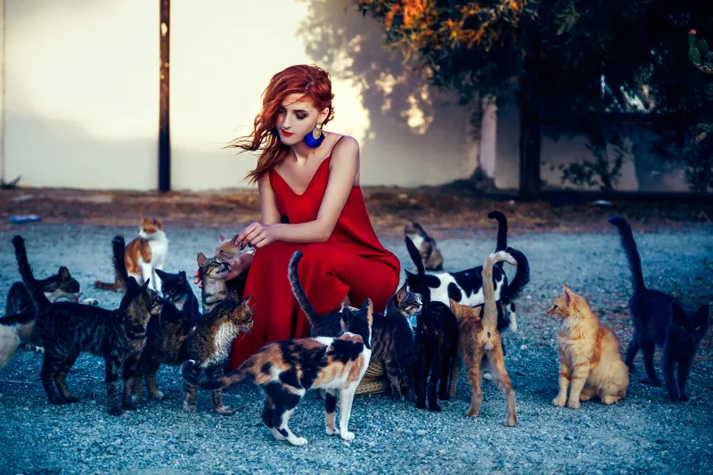 Girl In Red Dress Playing With Cats 4k Wallpaper