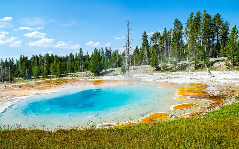 Hot Spring Pool Wallpaper