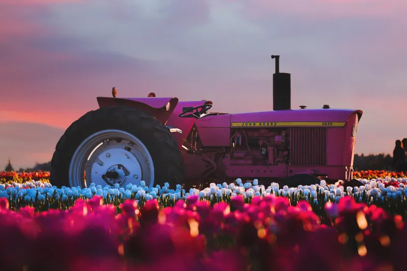 John Deere Tractor In Flower Farm 4k Wallpaper