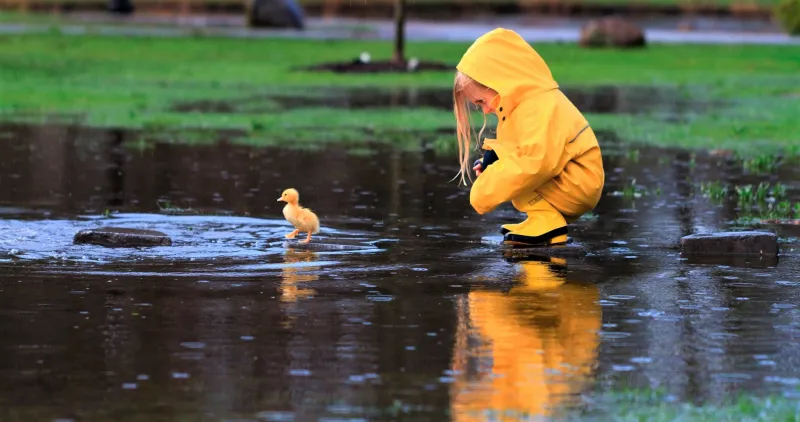 Little Girl Playing With Duckling Wallpaper