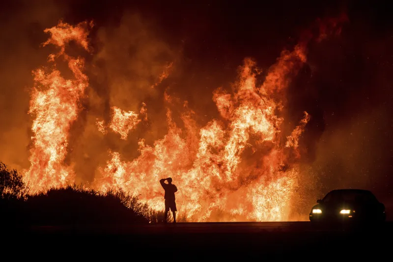 Man Watching Fire In The Jungle Wallpaper