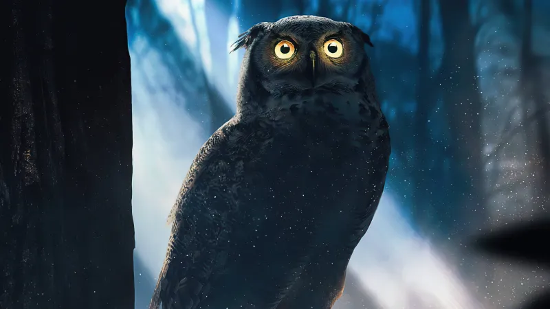 Owl Glowing Eyes Forest 4k Wallpaper